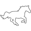 Un cheval