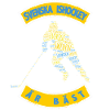 Sweden Ice Hockey