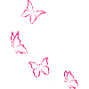 butterflies