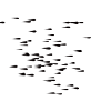 drops