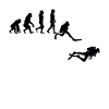 Evolution Plongée