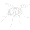 Skeleton Fly