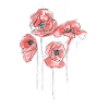 Poppy