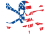 Pirate flag