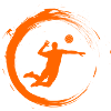 Volleyball Volleyballer