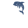 Delphin