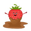 strawberry chocolate