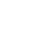 Bikerus vitruvian