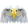 eagle head