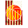 Basketball Basketballer Basketball Team USA