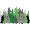 Nature forest nature