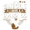 Ragdoll cat pet