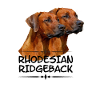 Rhodesian Ridgeback