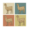 alpaca