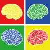 brain