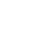pilot