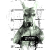 Prison kangaroo marsupial funny