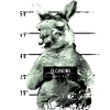 Kangaroo Australian animal gift