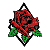 Red Rose Noir