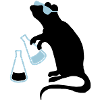 laboratory rat