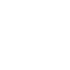 BROOKLYN SHIRT