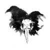 Three Raven