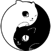 Cat YinYang