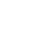 Cheval blanc avec belle crinière