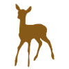 Brown deer in the nature