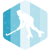 Roll hockey player