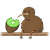 kiwi eating a kiwi