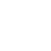 Hanging spider