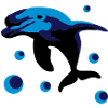 Dolphin in the water