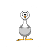 Sei Möwe Scheiß Drauf
