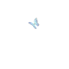 Skull and butterfly