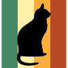 Cat pet