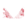 groom