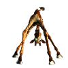 Funny cute giraffe