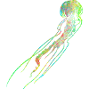 Qualle neonfarbig