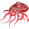 Squid red
