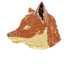 Fuchs Gesicht Seitlich Tshirt Geschenk