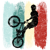 Bmx cykel gave ide hobby