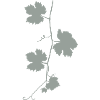 vine