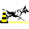 Obedience Malinois circles pylon