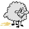 Piss sheep
