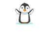 Penguin animal