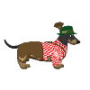 Dachshund Bavaria 2