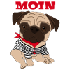 Idée cadeau chien