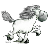 „Icelandic Power“ -Icelandic Horse