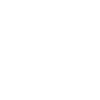 lame duck